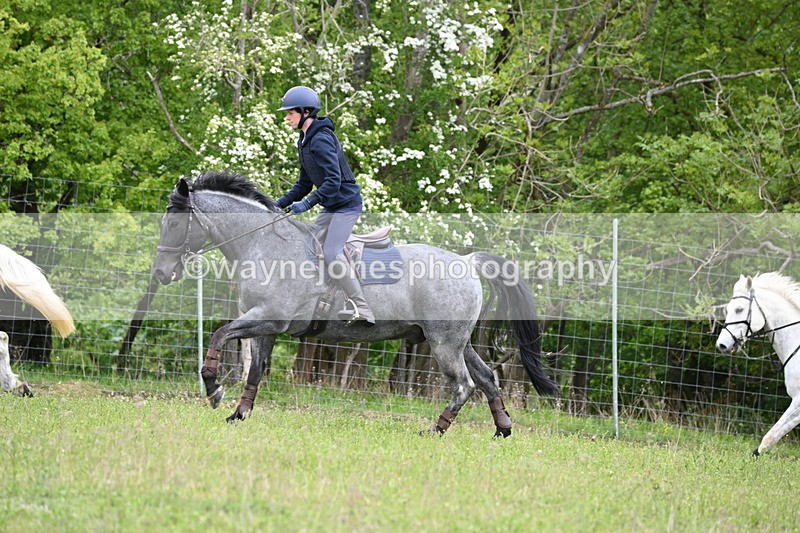 WJ6_1526 - Group 4 A&B Cameras