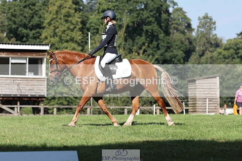 250823A-103822-27756 - Arena D