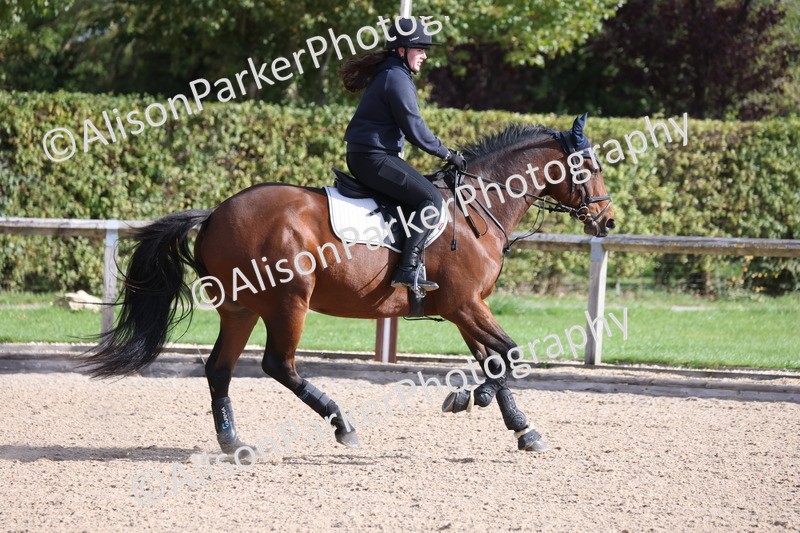 20251005-0372 - Class 3 - 60cm