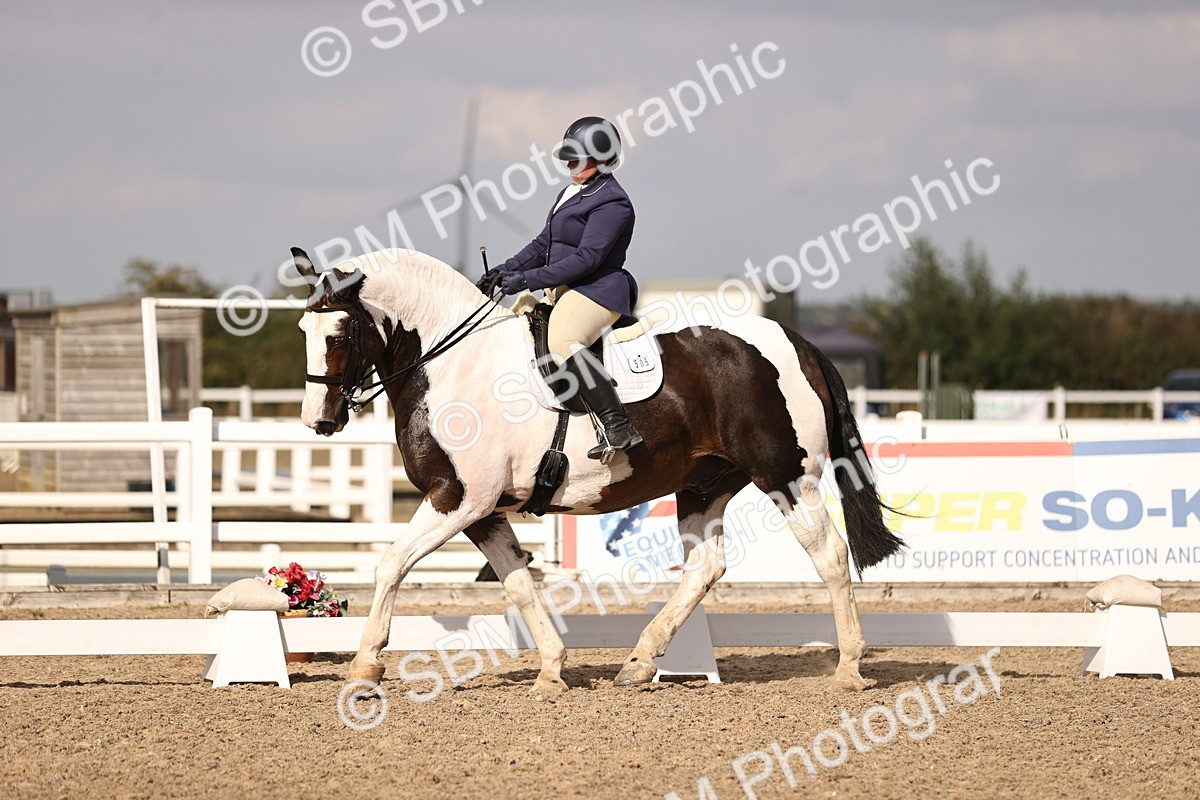 SBM_08090 - Class 39 Medium 3