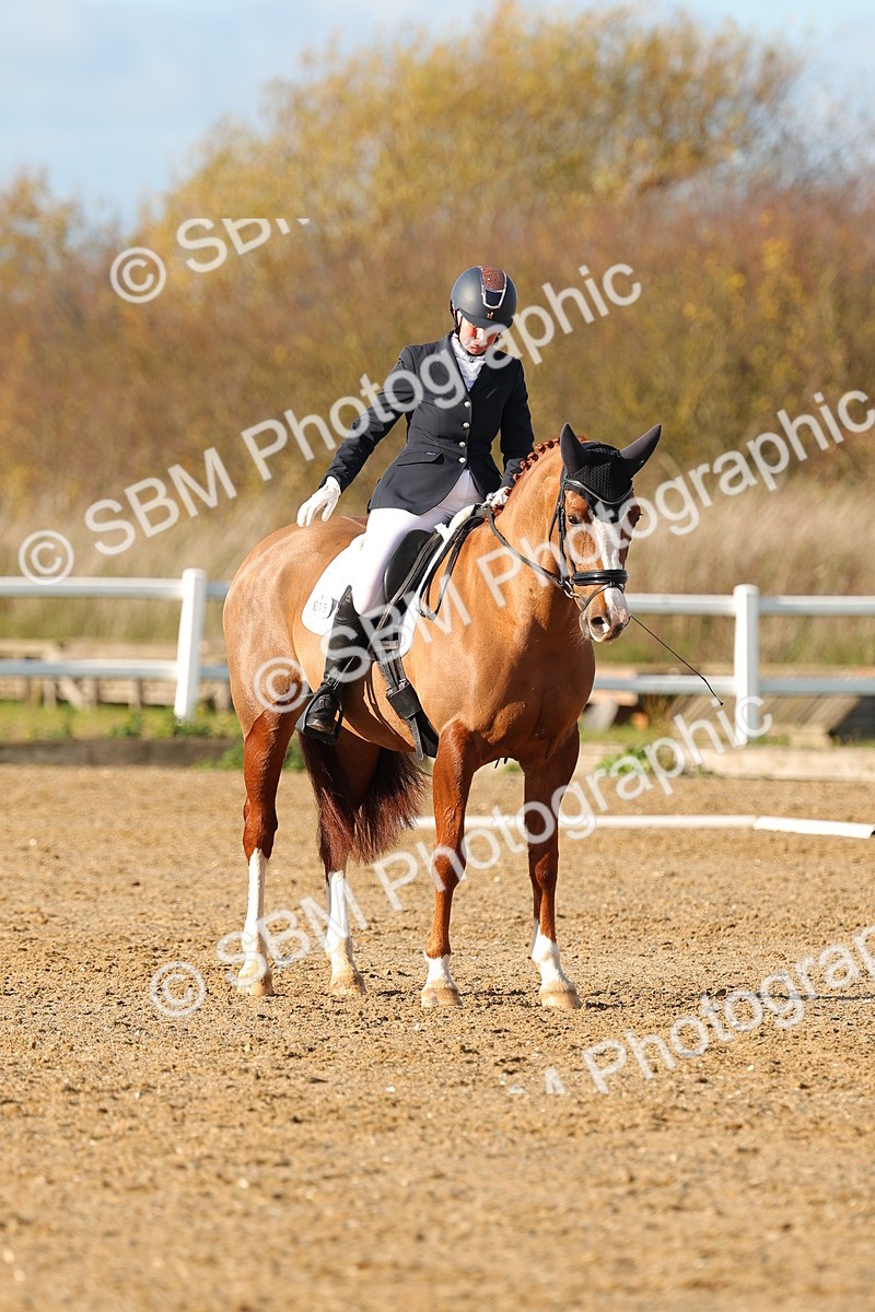 SBM_001428 - Medium 3