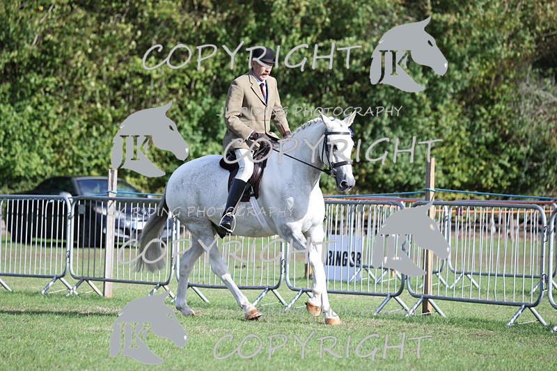 APP_4207 - Class 15a/b Pony club pony/Riding club horse