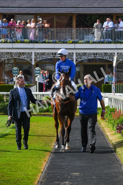 270523-Race 7-Shining Blue-1026 - Race 7 5.00pm Reg Bond Always And Forever Handicap