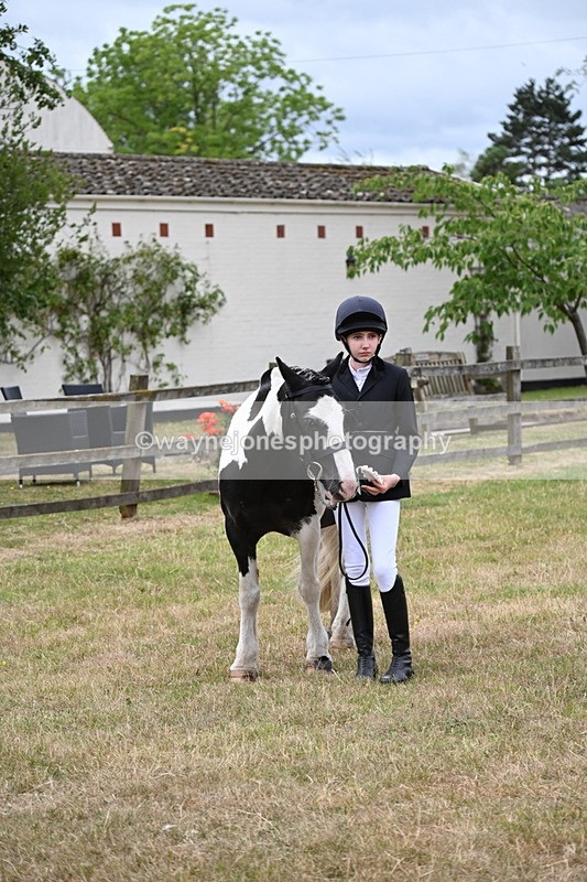 WJ6_4532 - Class 10 Coloured In-hand