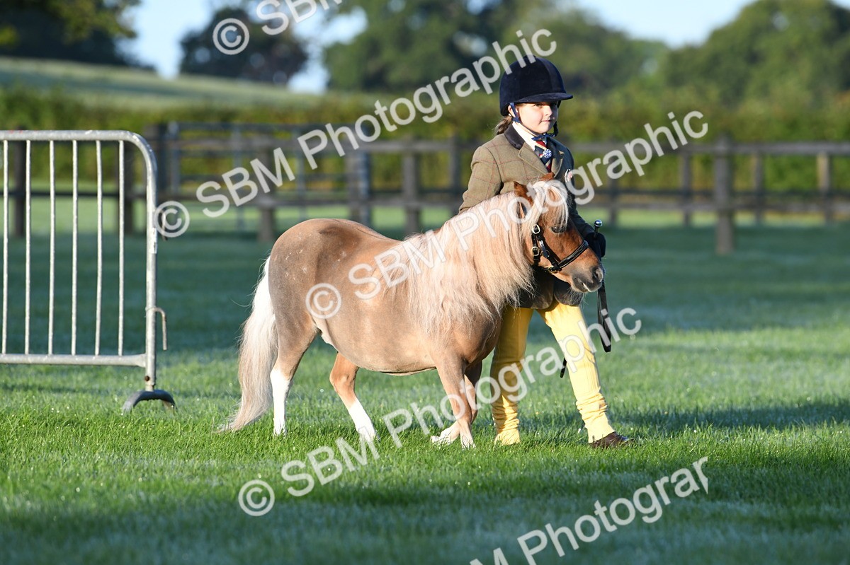 SBM_32458 - S15 - Condition & Turnout In Hand