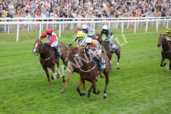 yr18082022r7-23 - Race 7 5.20pm British Stallion Studs EBF Fillies' Stakes