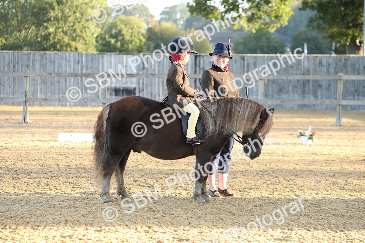 SBM_33549 - D26 - Starers - Lead Rein