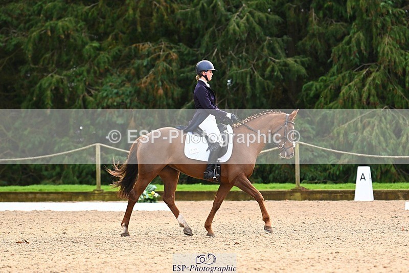 231021-134404-18535 - 246-NEDS.LEGACY-Araminta.Spencer-Churchill-DR