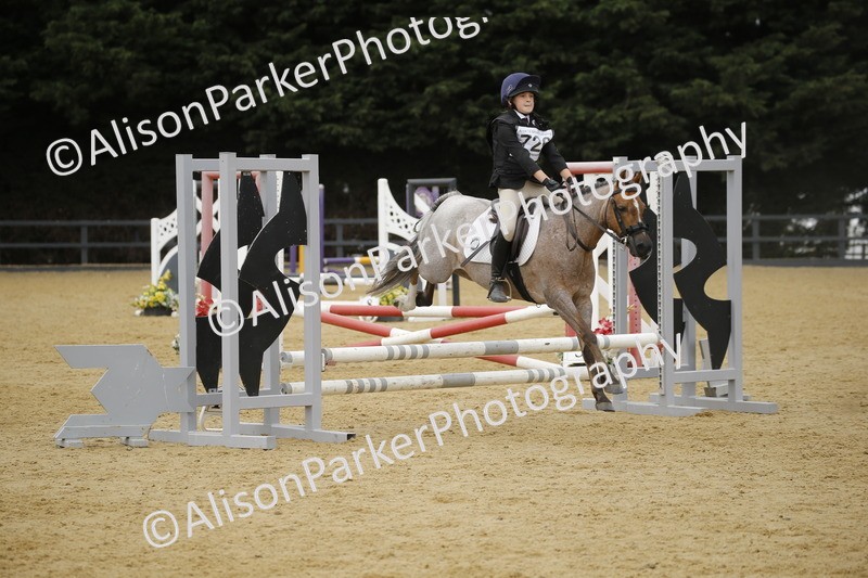 20250622-6070 - 60cm