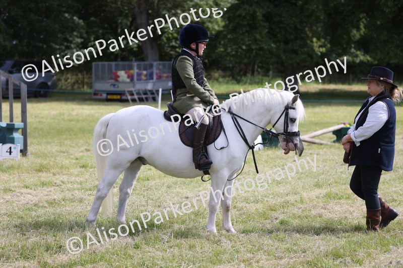 20260614-0723 - Class 20 - Beginners Working Hunter Pony