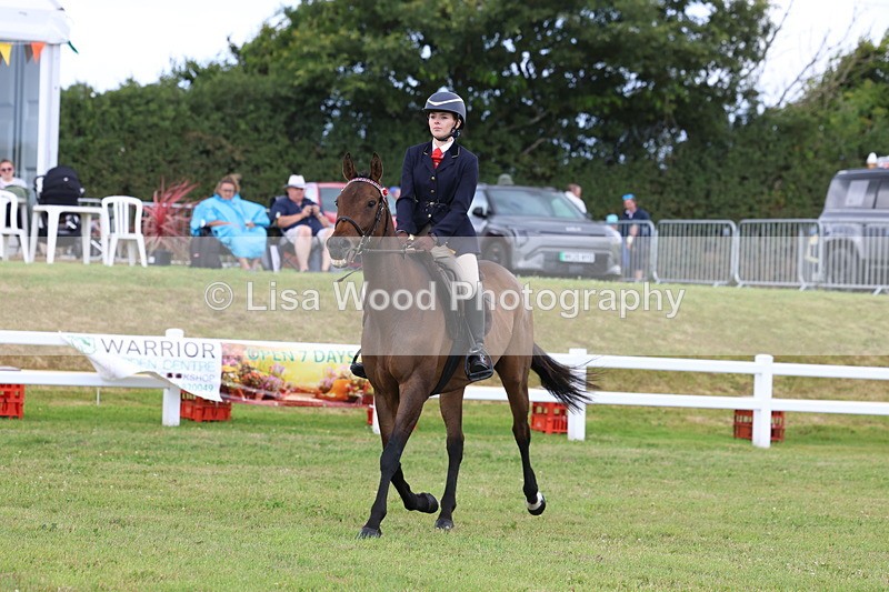 3E7A2386 - Class 11: Retraining of Racehorse