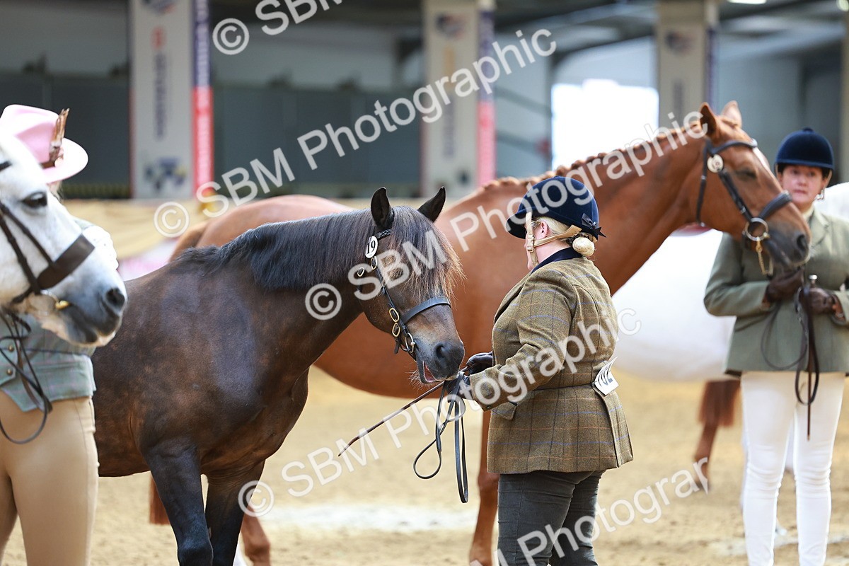 SBM_04159 - Class 9R - IH Pre-Vet