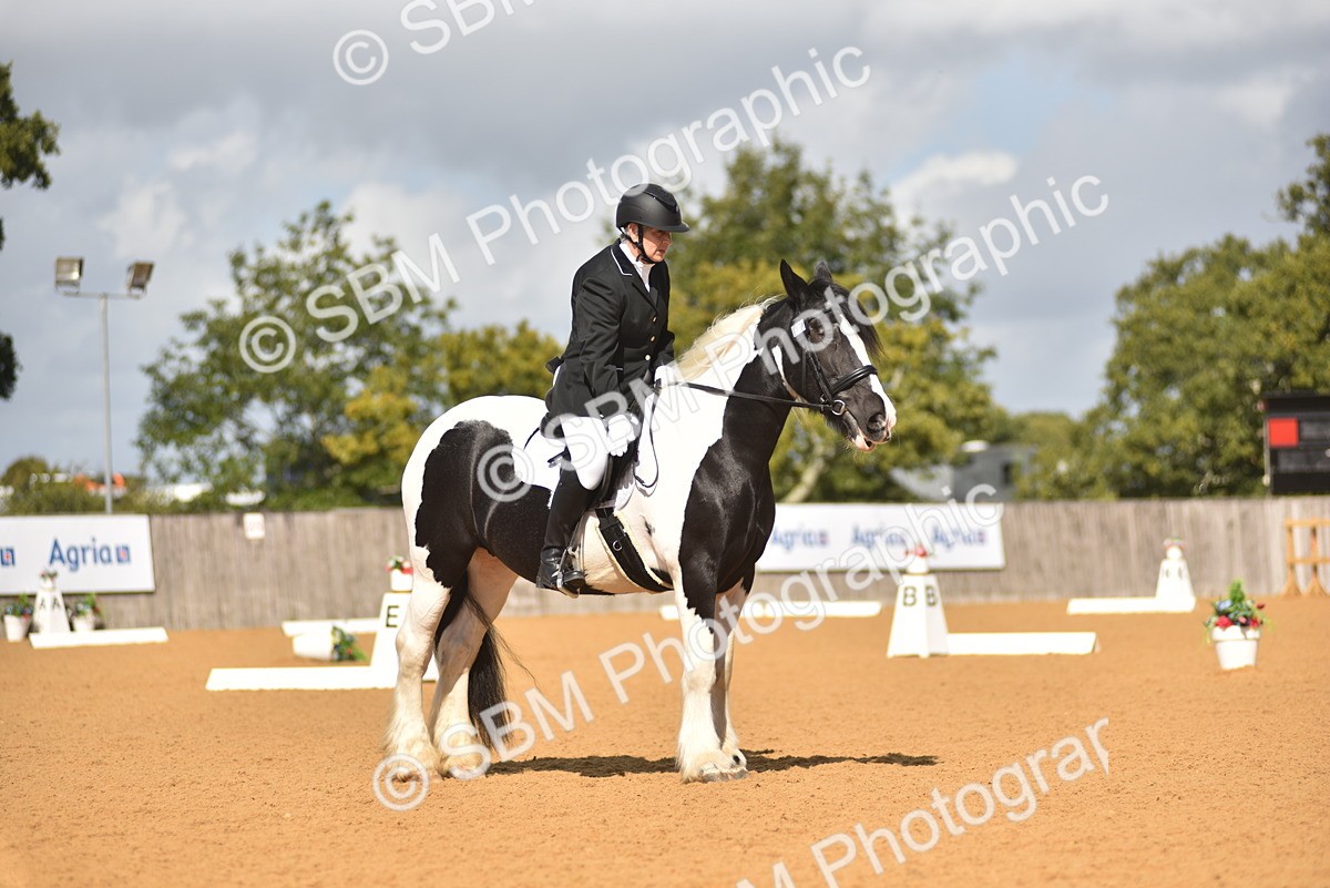 SBM_03156 - D4 - Small Tour Championship Intro 4