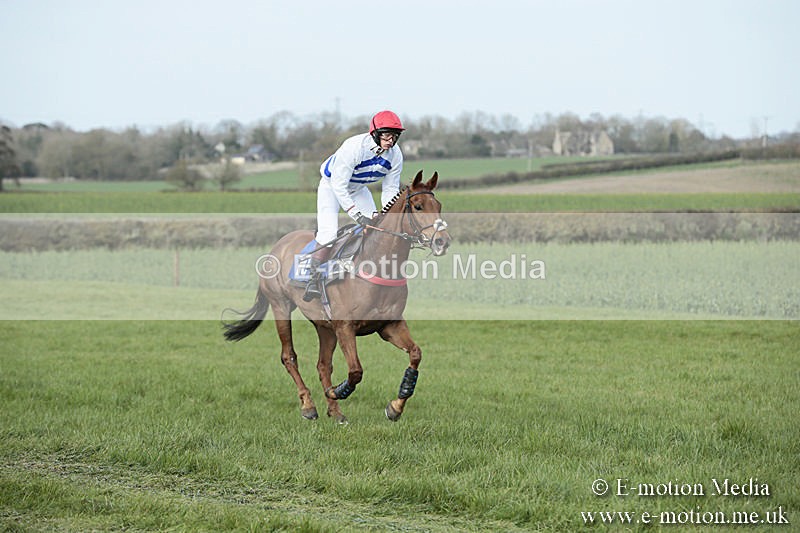PtP 230319 378 - VWH Hunt Siddington Point-to-Point Racing 23/03/19