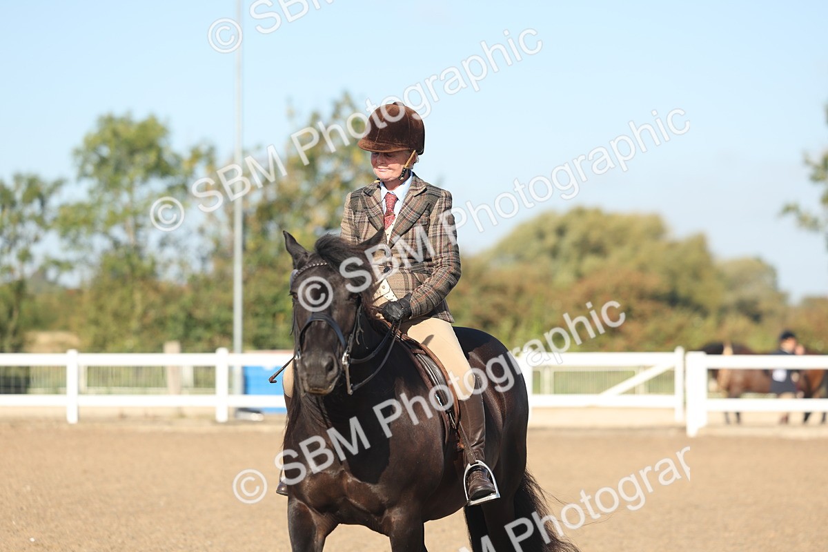 SBM_22128 - Class 801 - Ridden Veterans