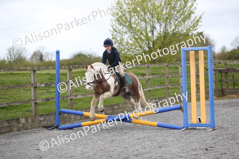 20260412-0157 - Show Jumping