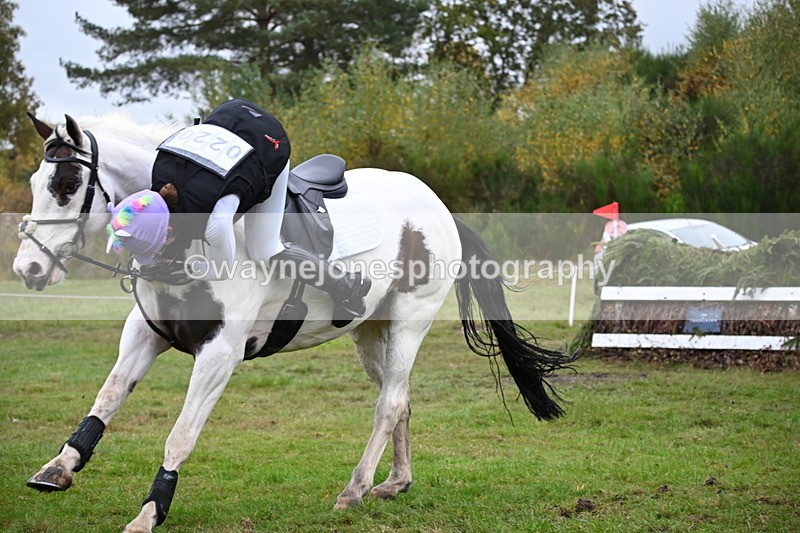 WJ6_3515 - 90cm Cam 1 Time 13:07 to 13:34