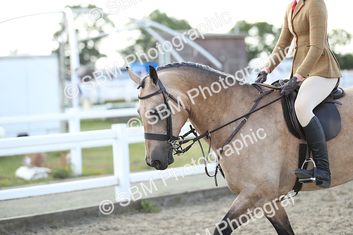 SBM_06987 - Class 49b Style & Performance 80cm (20+)