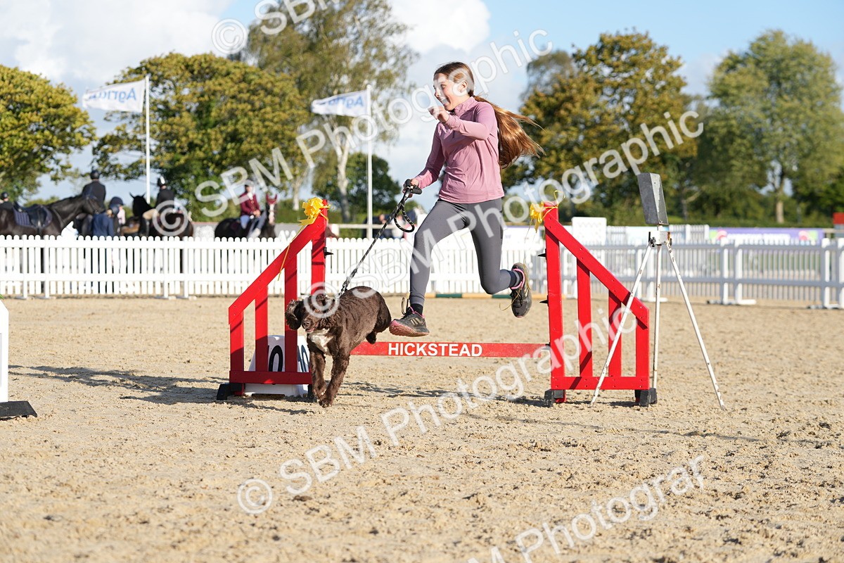 SBM_28953 - J43 - Horse & Hound Open 50cm