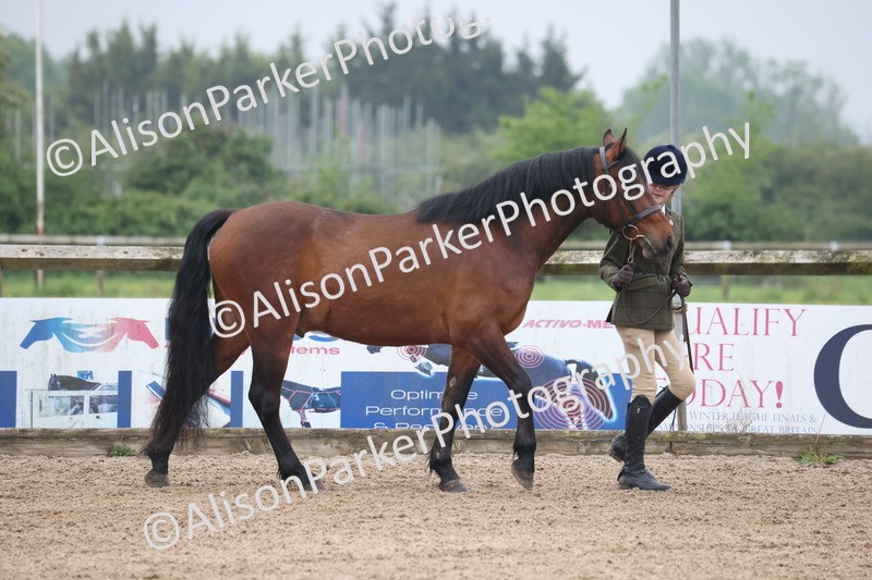 20260504-0136 - Class 2 - Youngstock