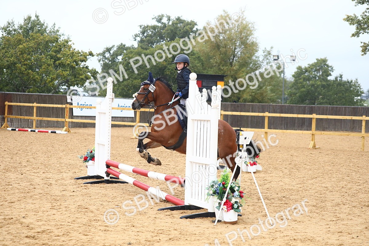 SBM_71637 - J4 - Mini Tour Junior Pony 45cm Championship