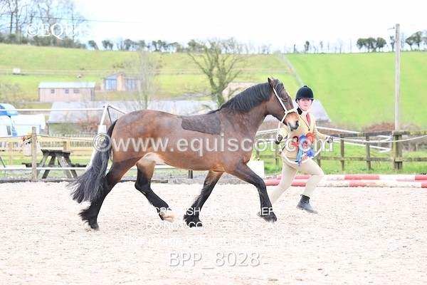 BPP_8028 - SUPREME CHAMPIONSHIP