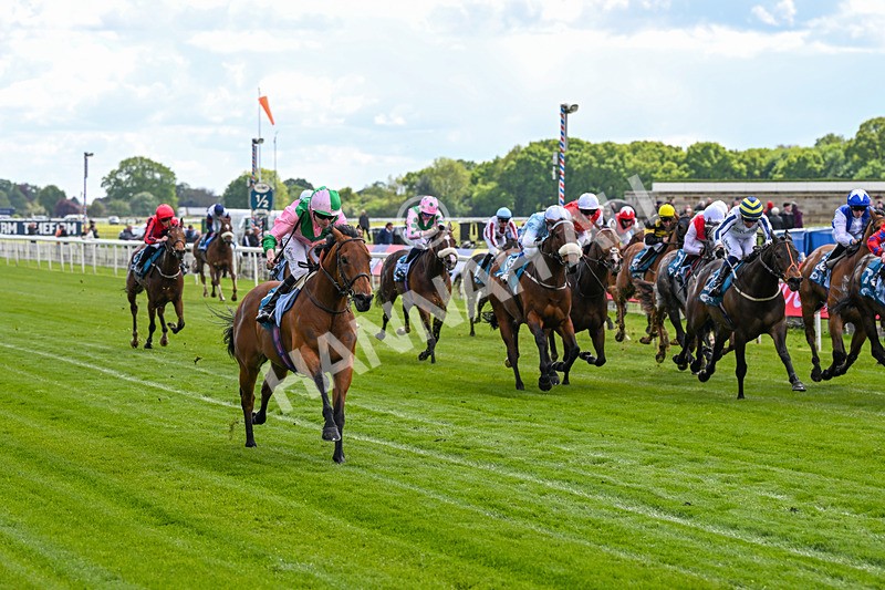 140526-Race 2-Jakajaro-4580 - Race 2 2.20pm Lindum York Handicap