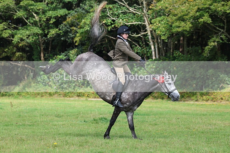 3E7A6124 - Working Hunter Championship