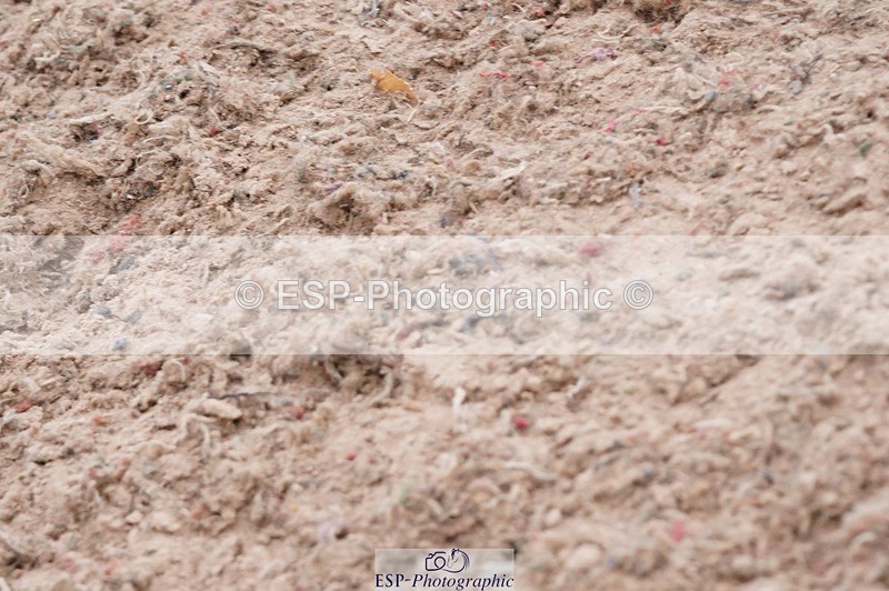 250523-174810-03109 - Jolly Jumps Ride & Run