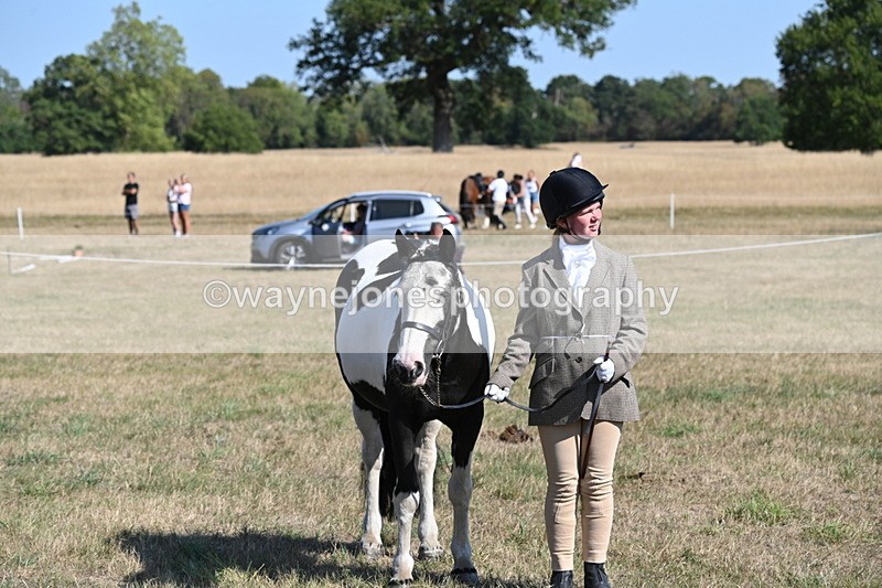 WJ6_7586 - Class 34 Judges Choice