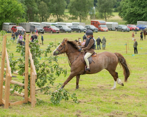 Dunblane show-583 - Dunblane and Doune Show Ring 1