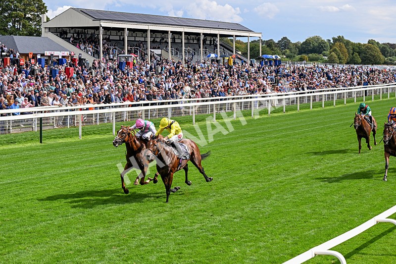 190826-Race 4-Item-0479 - Race 4 15.35pm Juddmonte International Stakes