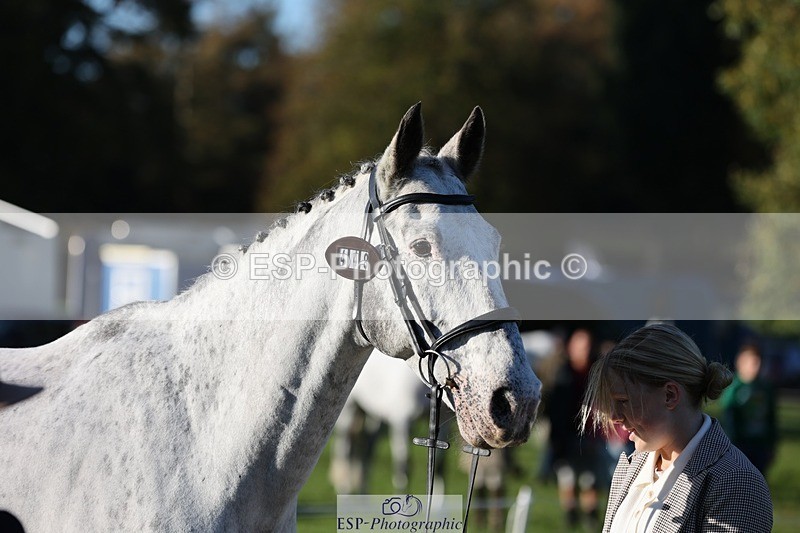 241027-085914-14946 - 448-Elise.Washer-MENELAUS