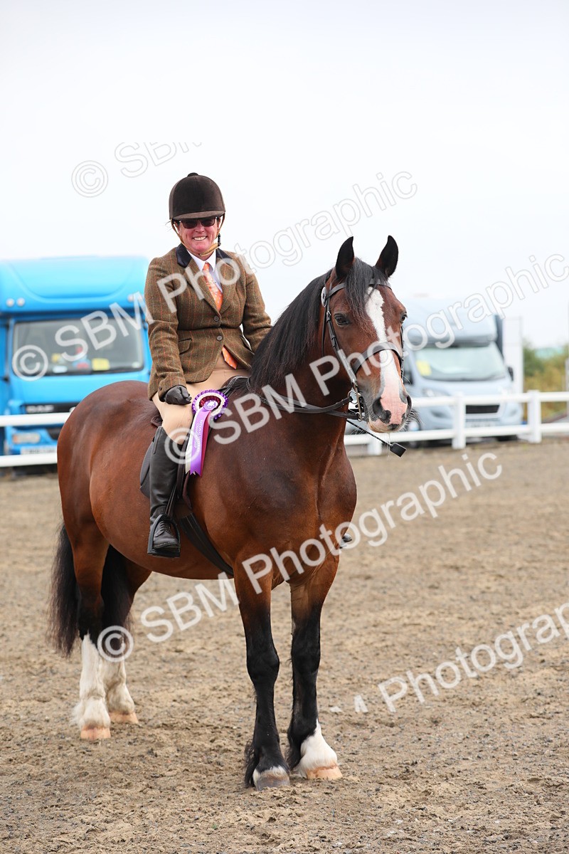 SBM_21414 - Class 805 - Ridden Veteran Horse
