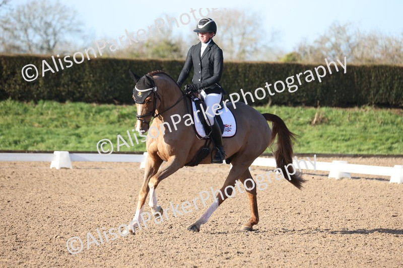 20260128-0181 - Class 3 - Novice 4