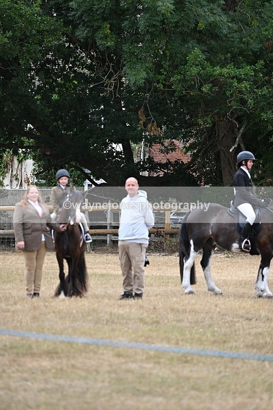 WJ6_8982 - Class 11 Fancy Dress
