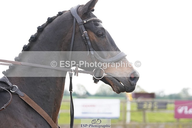 250419-151914-12884 - 660-Bethany.Hall-ZEPHYR.II