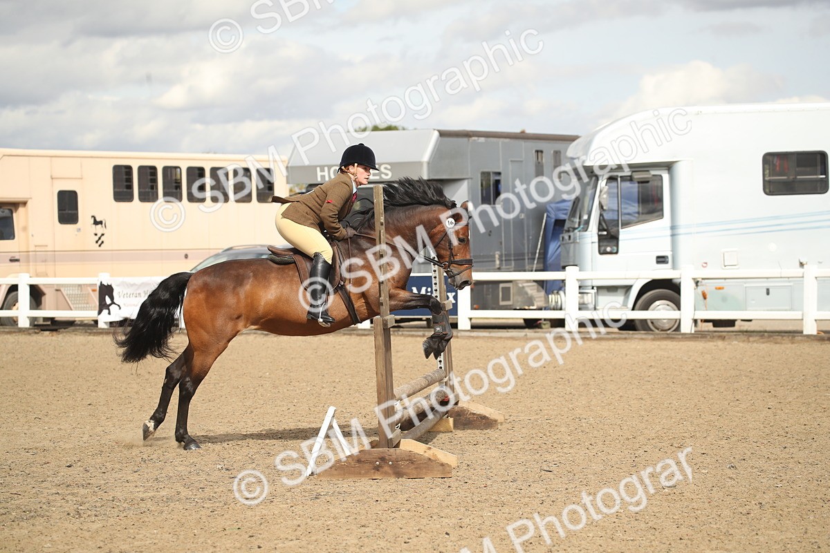 SBM_14533 - Class 505a - M&M Working Veteran - 50cm (15-19)