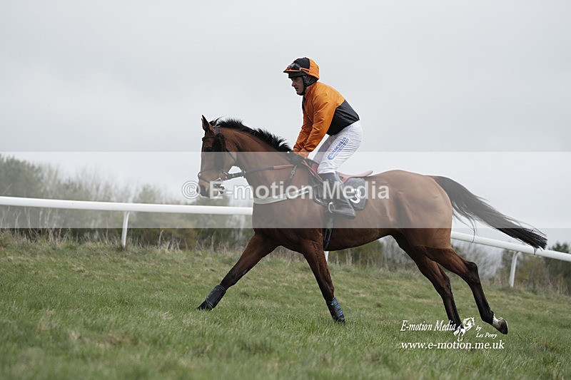 PtP 260323 0669 - New Forest Hounds Point-to-Point Larkhill 26/03/23