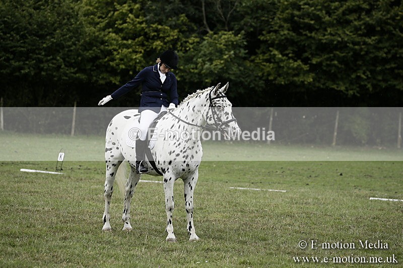 BVR080918 119 - BVRC Novice Dressage & CR 08/09/18