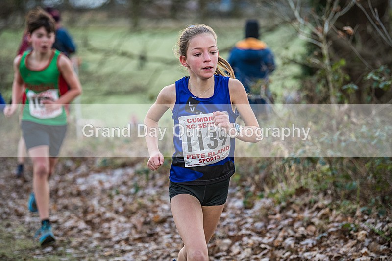 Cumbria XC-22 - Cumbria Cross Country Championships (Junior & Senior Races) Saturday 3rd January 2026