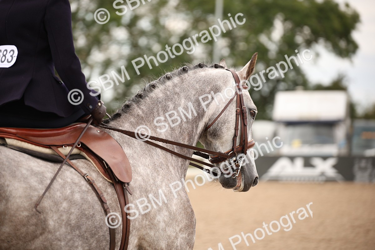 SBM_05351 - Class 22 SSA Equitation