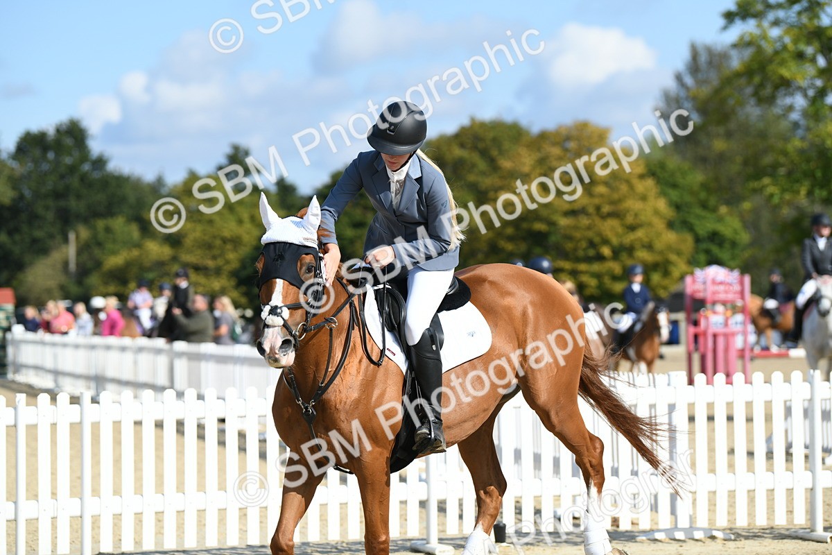 SBM_61741 - j25 - Junior Horse 80cm Championship