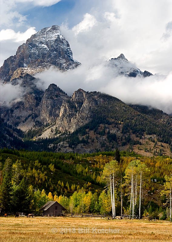 Teton Ranch - Current Show