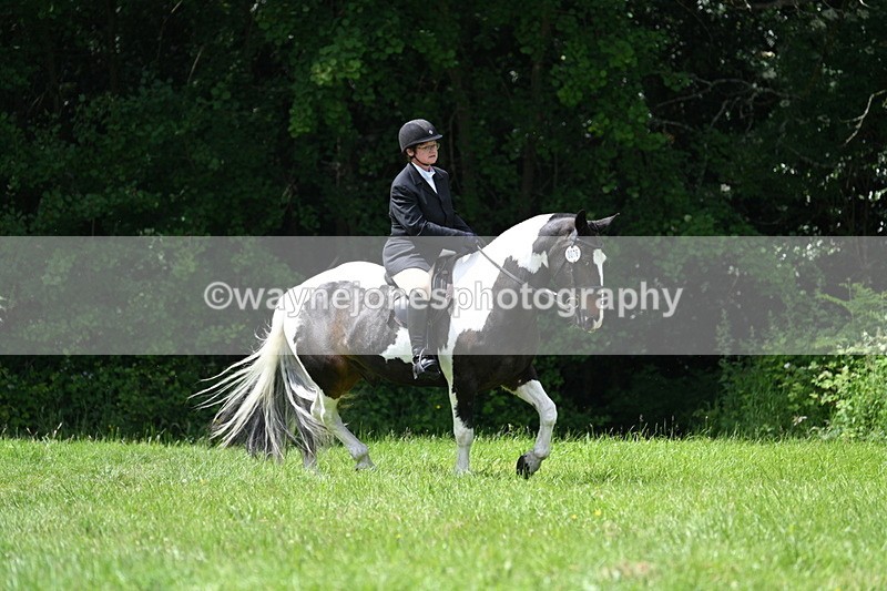 WJ7_2655 - Class 12A Coloured Class