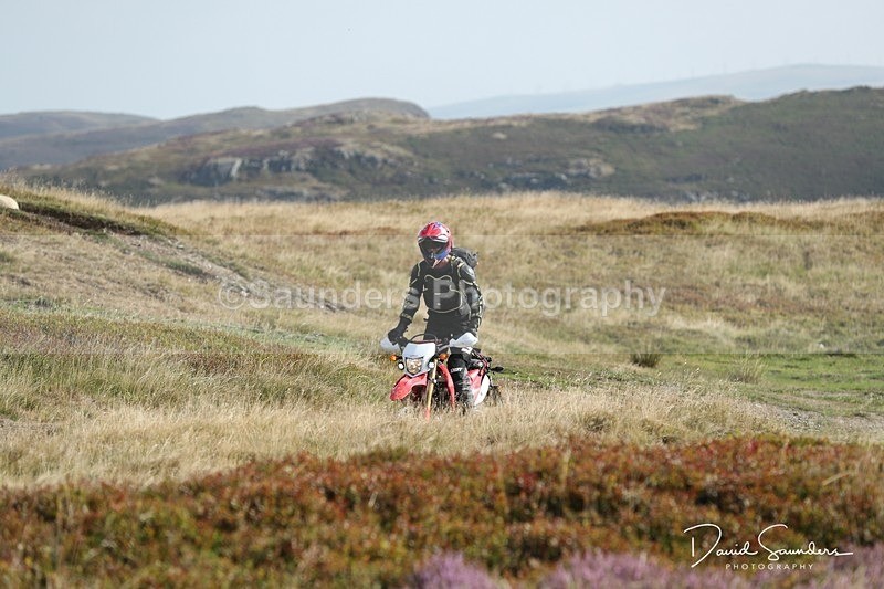 SPXX0051 - Trail bikes