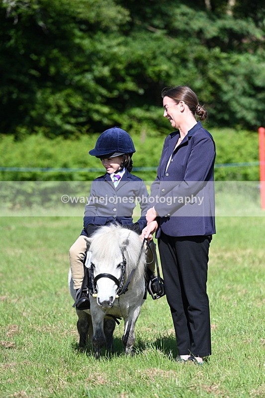 WJ7_0386 - Class 8 First Rally Pony