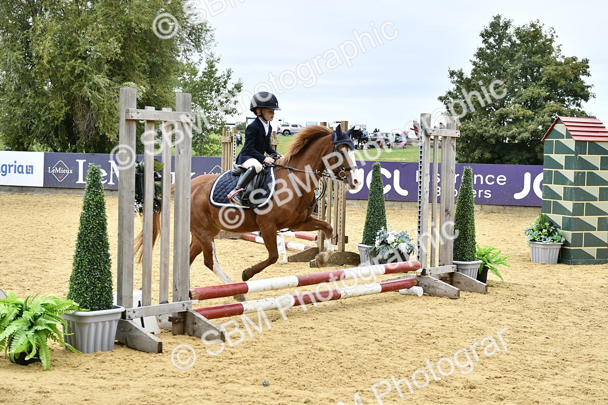 SBM_65453 - J2a mini Tour Junior Pony 30cm Championship