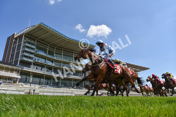 yr13052021r1-37 - Race 1 1.40pm The Matchbook Betting Exchange Stakes