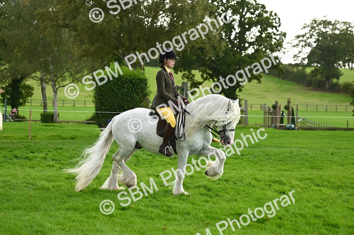 SBM_26612 - S7 - Novice & Newcomer Ridden Pony